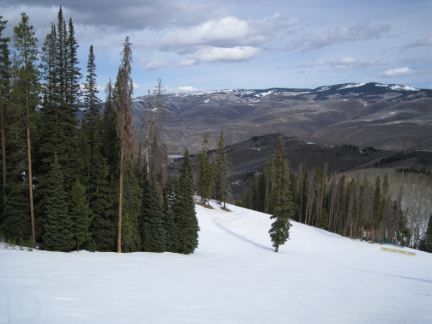IMG 0612