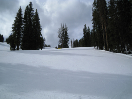 IMG 0613