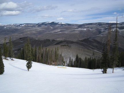 IMG 0611