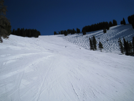 IMG 0769