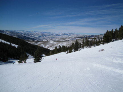 IMG 0770