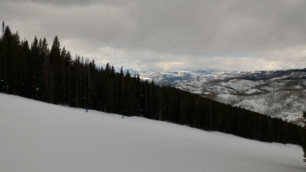 P 20200308 132659