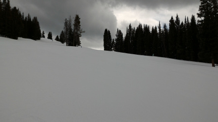P 20200308 132654