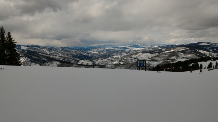 P 20200308 142136