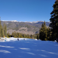 P 20201122 094038