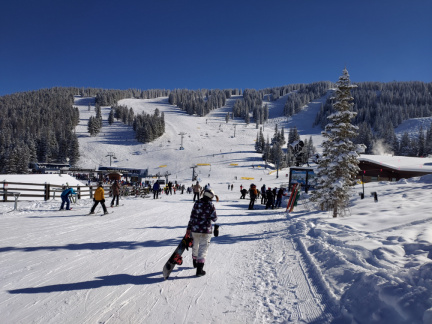 P 20201213 114528