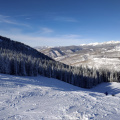 P 20201213 141425
