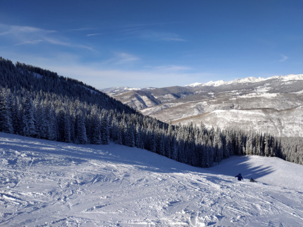 P 20201213 141425